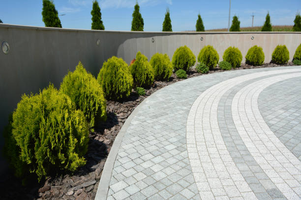 Best Local Driveway Pavers  in Pleasantville, IA